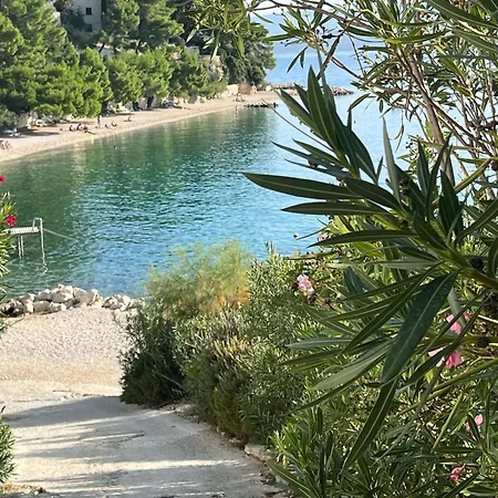 شقة Adriatic *